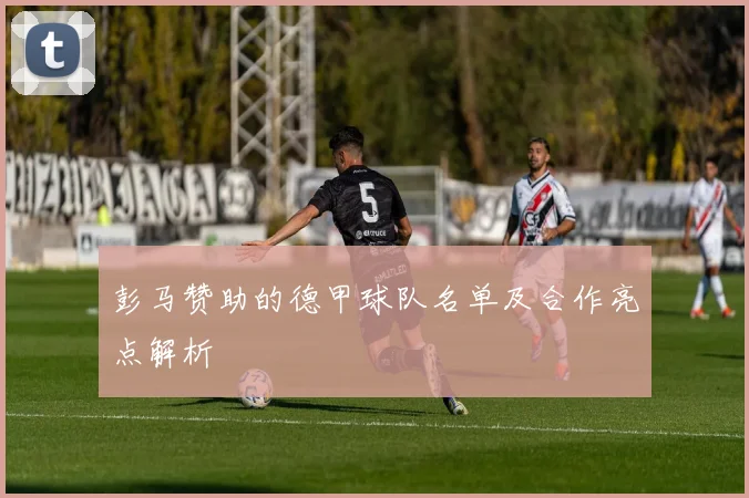 彭马赞助的德甲球队名单及合作亮点解析